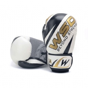 Winning Boxing Gloves