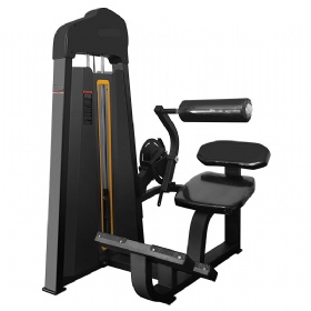 Back Extension Machine