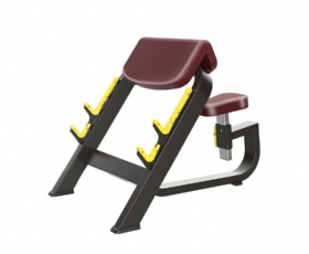 Seated Preacher Curl